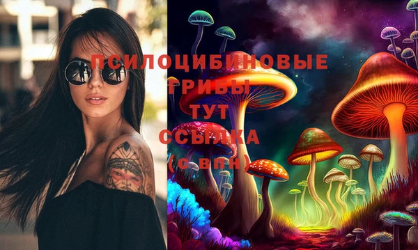 МДПВ Абинск