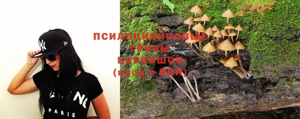 МДПВ Абинск