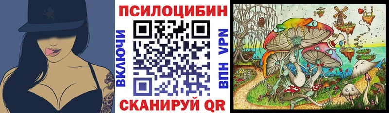 kraken ССЫЛКА  Монино  Галлюциногенные грибы мицелий 